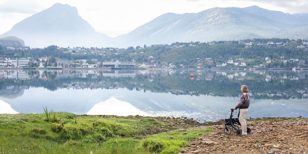 Active Ello rullator med elektrisk fremdrift