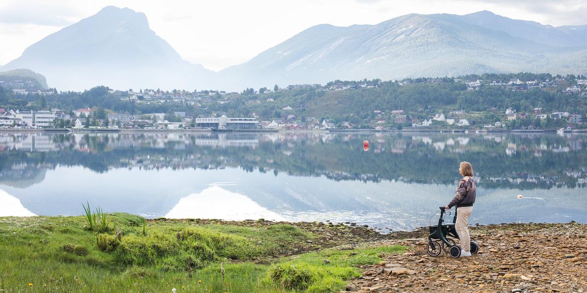 Active Ello rullator med elektrisk fremdrift