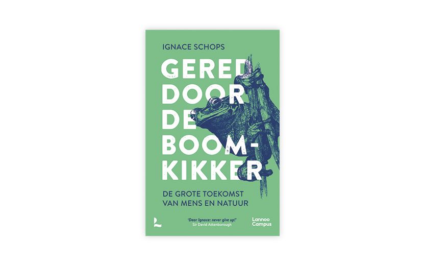Artikel afbeelding