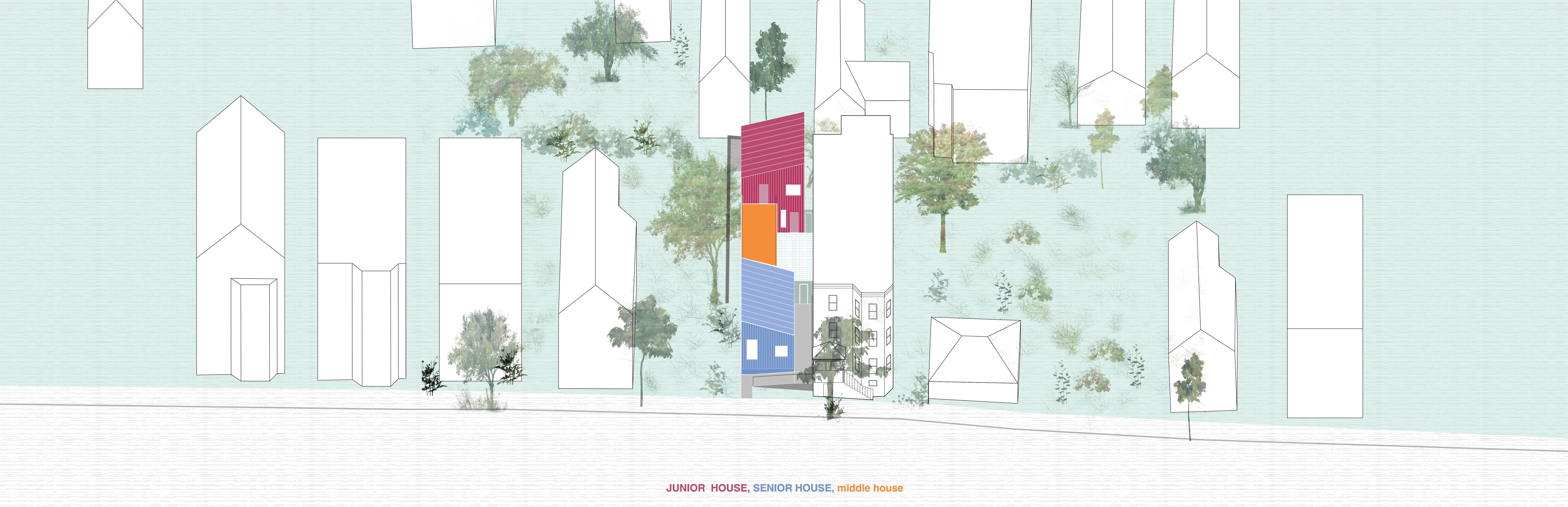 Cover image for Junior House, Senior House, Middle House