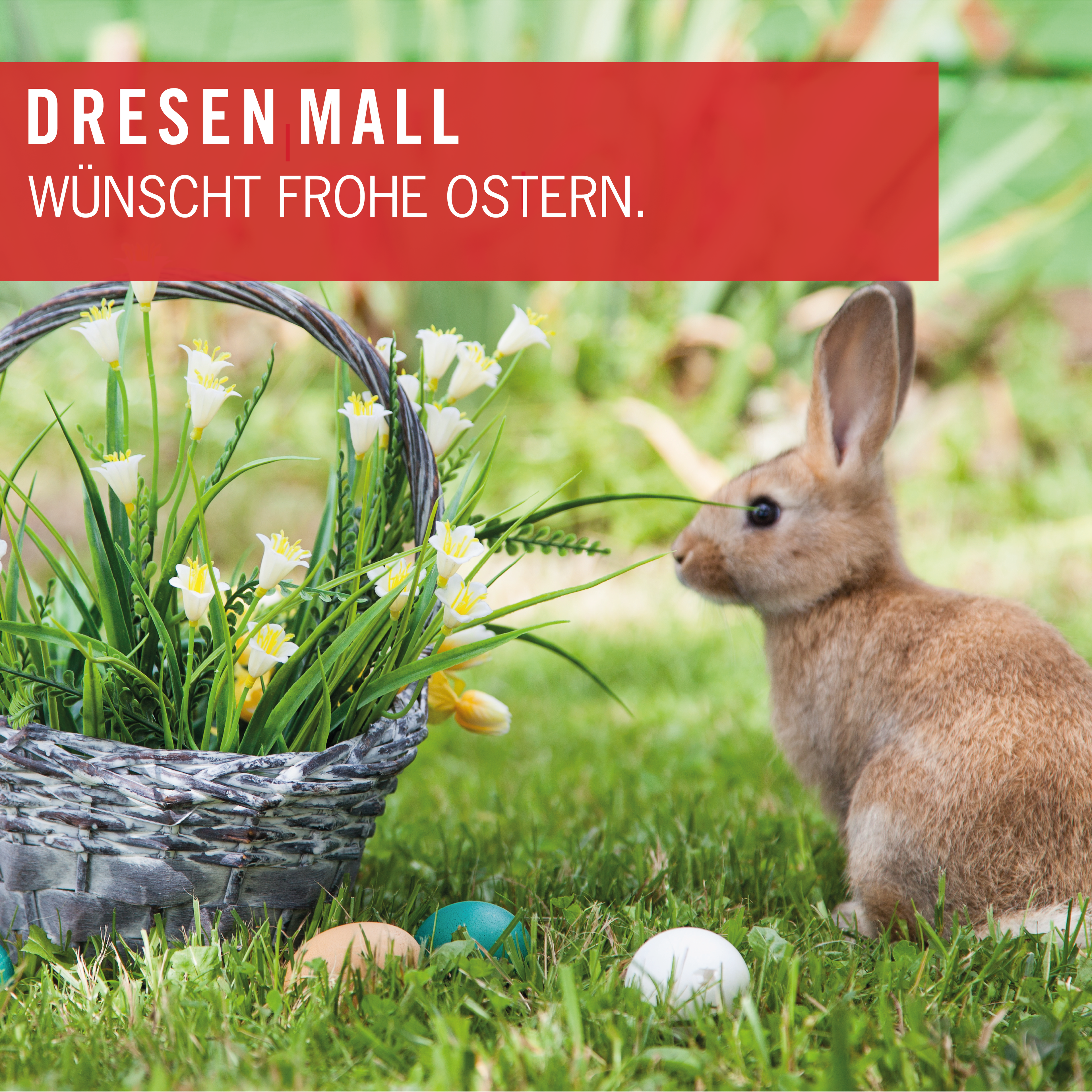 Symbolbild für Frohe Ostern wünscht DRESEN MALL!