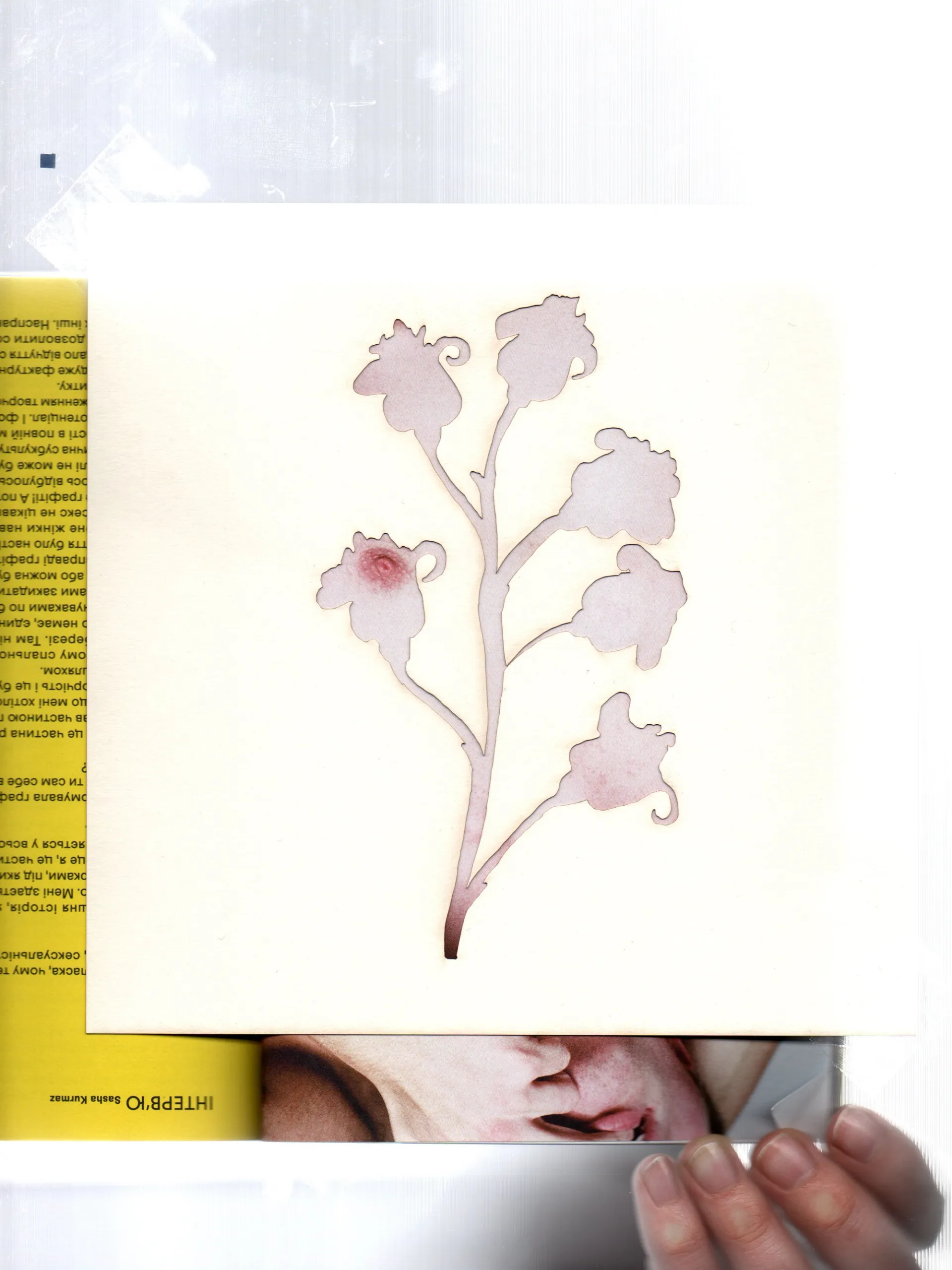 project-background-image