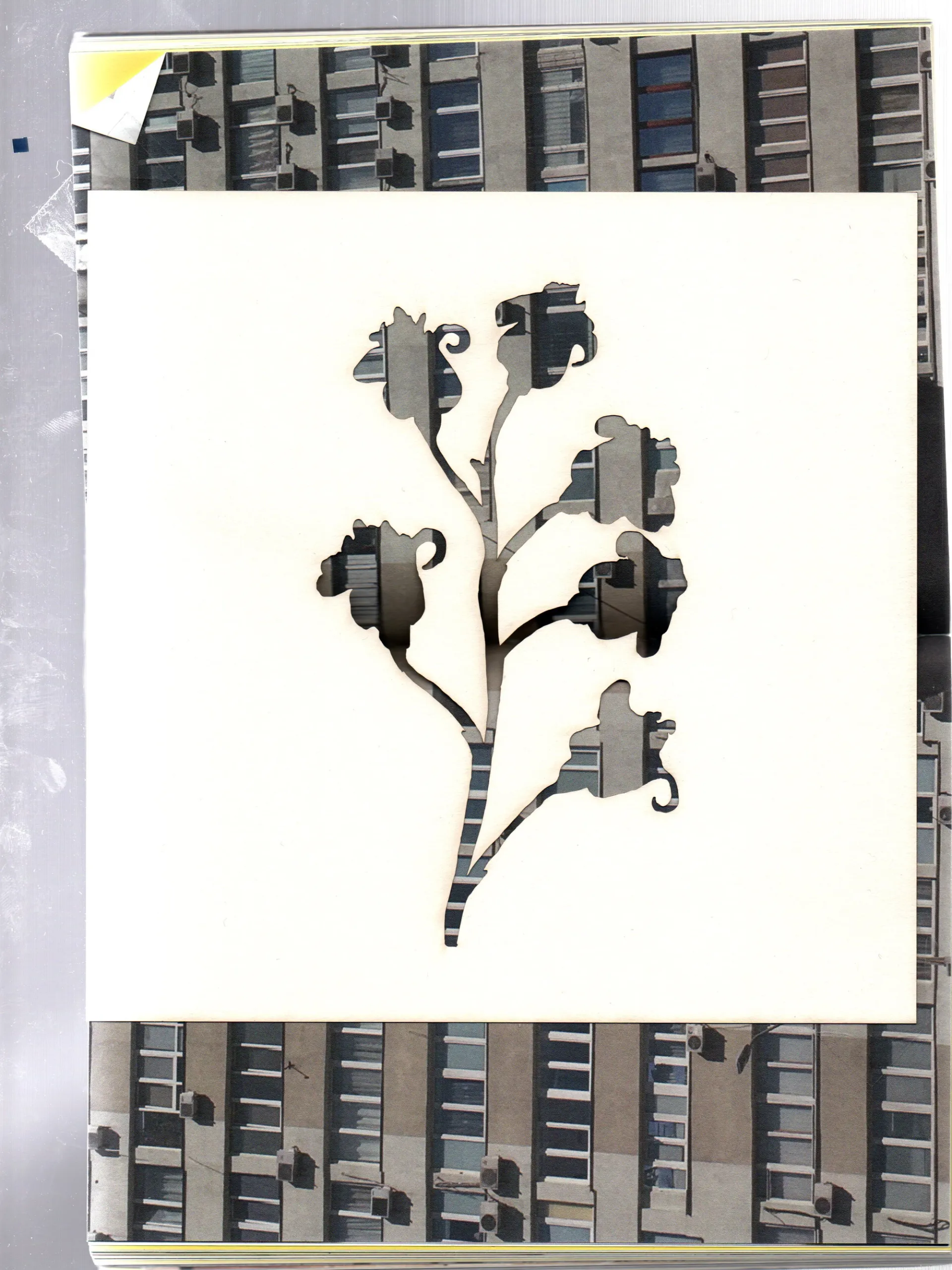 project-background-image