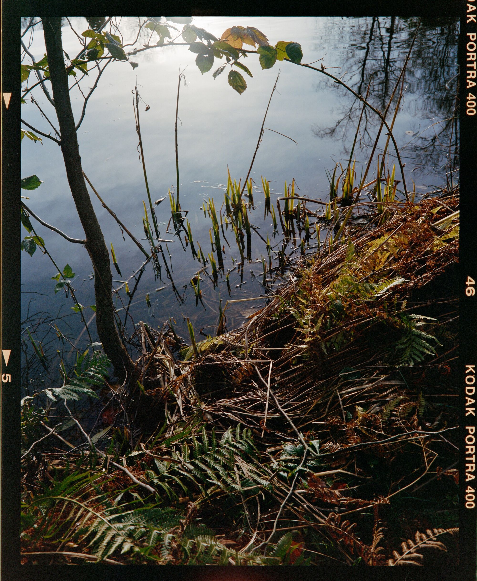 Film processing sample 4