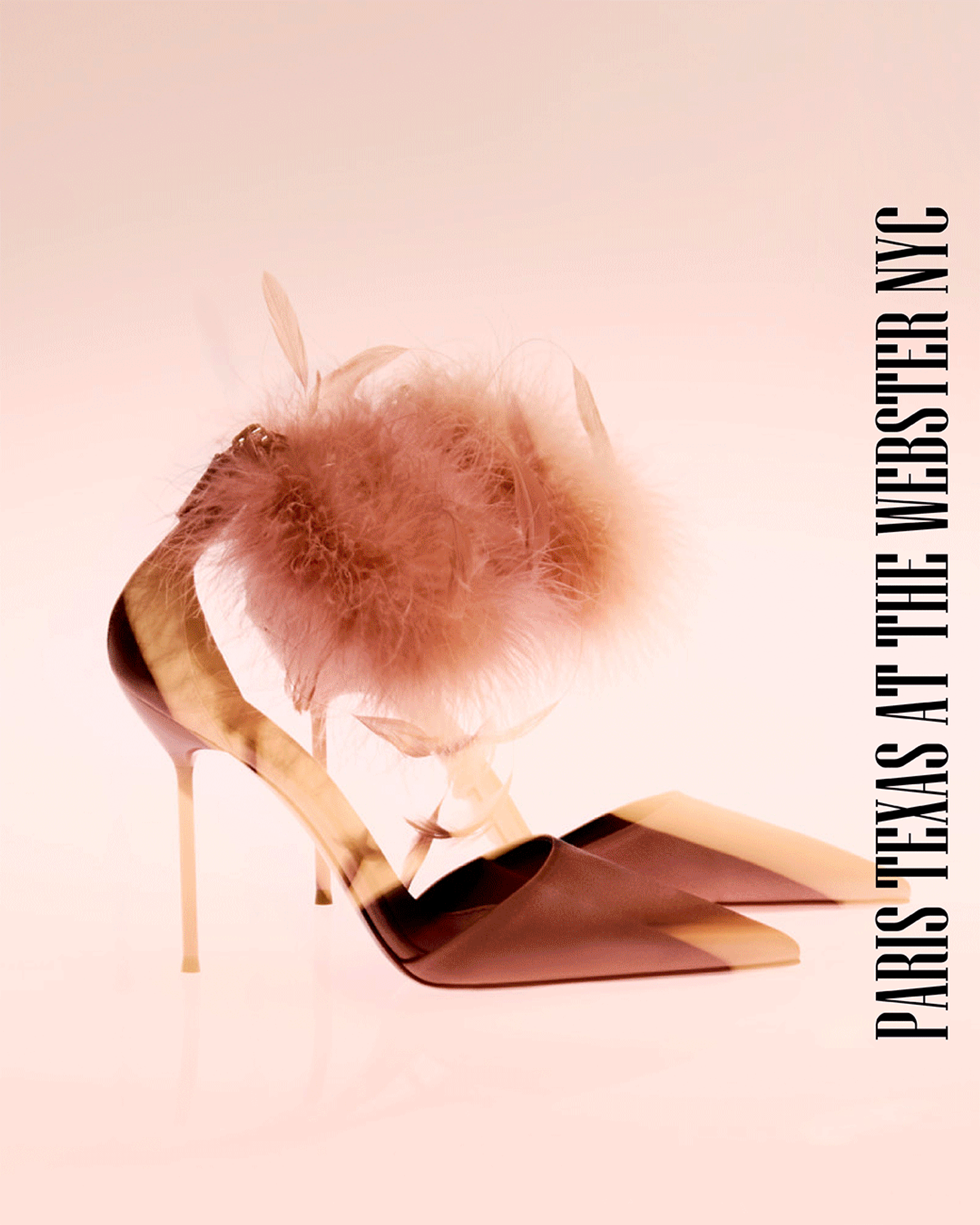 CREATIVE DIRECTION – PARIS TEXAS X THE WEBSTER NYC