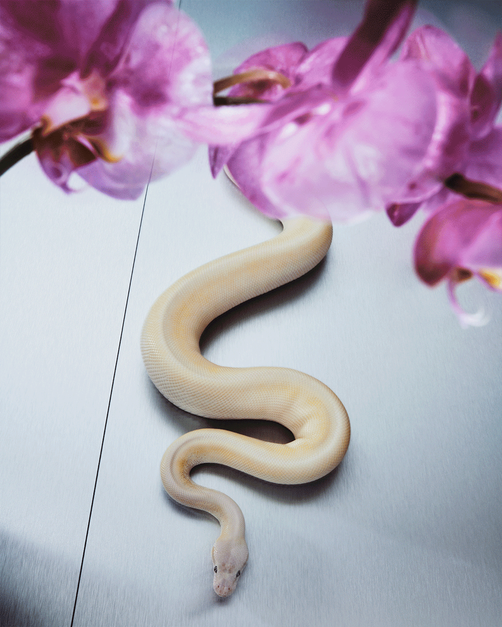 CREATIVE DIRECTION – RESORT 24 EDITORIAL