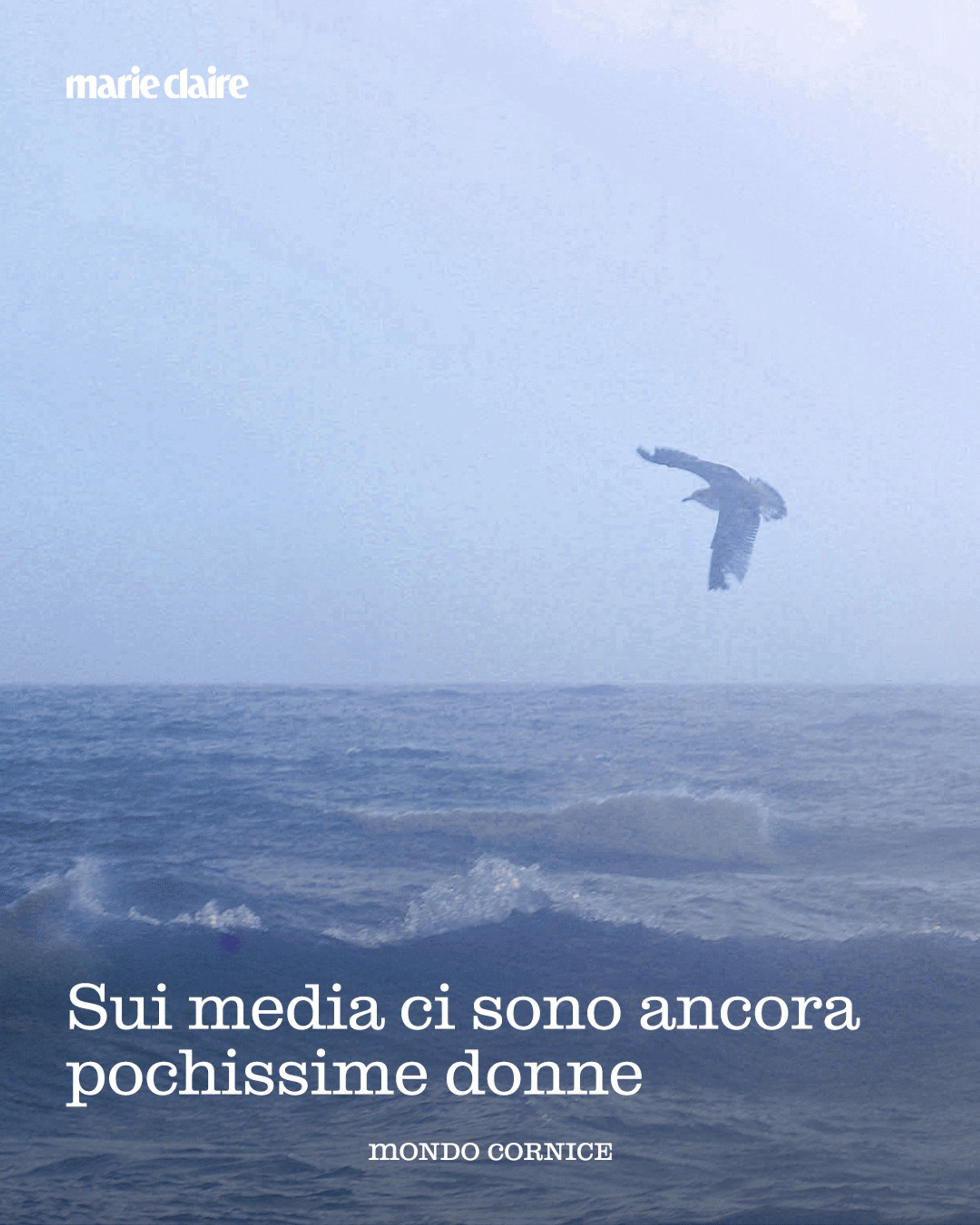 BRAND DESIGN - DIGITAL IDENTITY