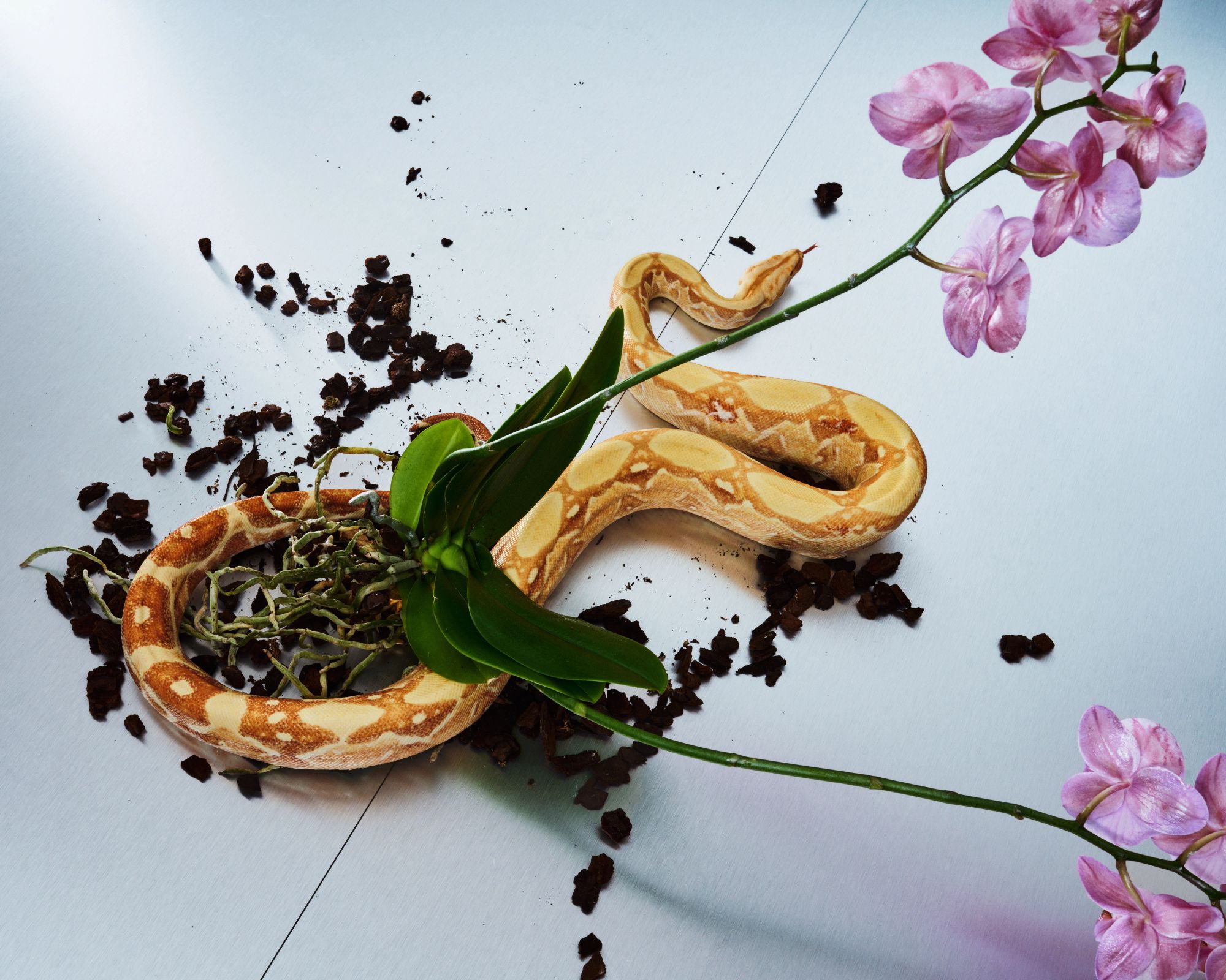 CREATIVE DIRECTION – RESORT 24 EDITORIAL