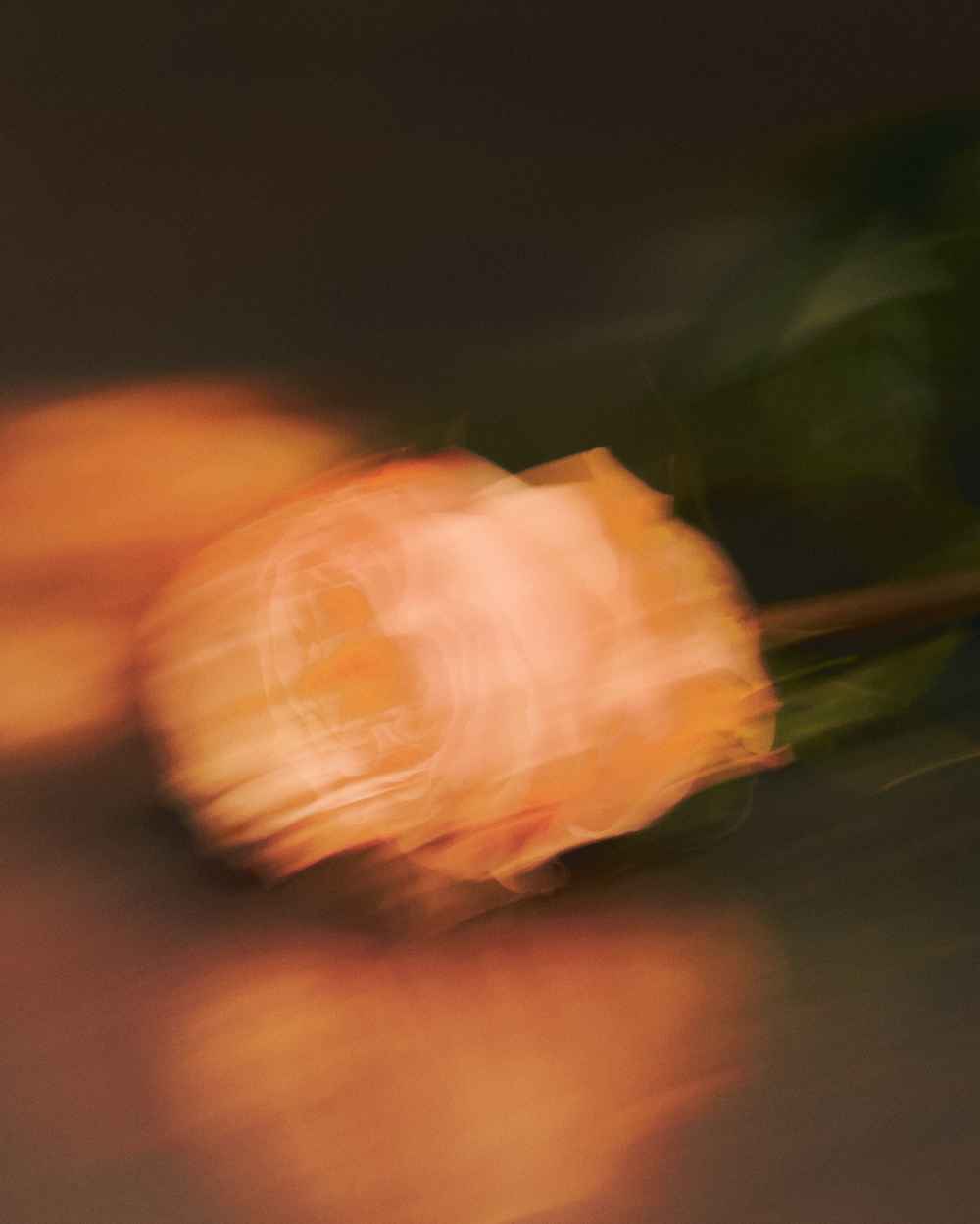 PARIS TEXAS CREATIVE DIRECTION - CONTENT CREATION PRESPRING25 BY ALESSIA GUNAWAN