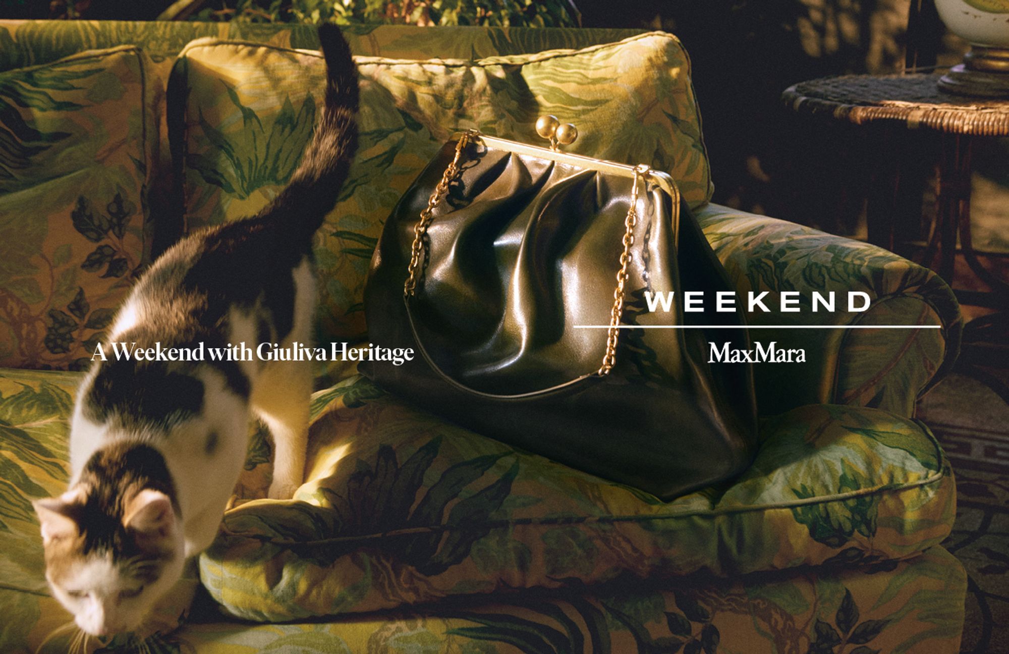 CREATIVE DIRECTION –  FW25 SIGNATURE COLLECTION ADVERTISING CAMPAIGN