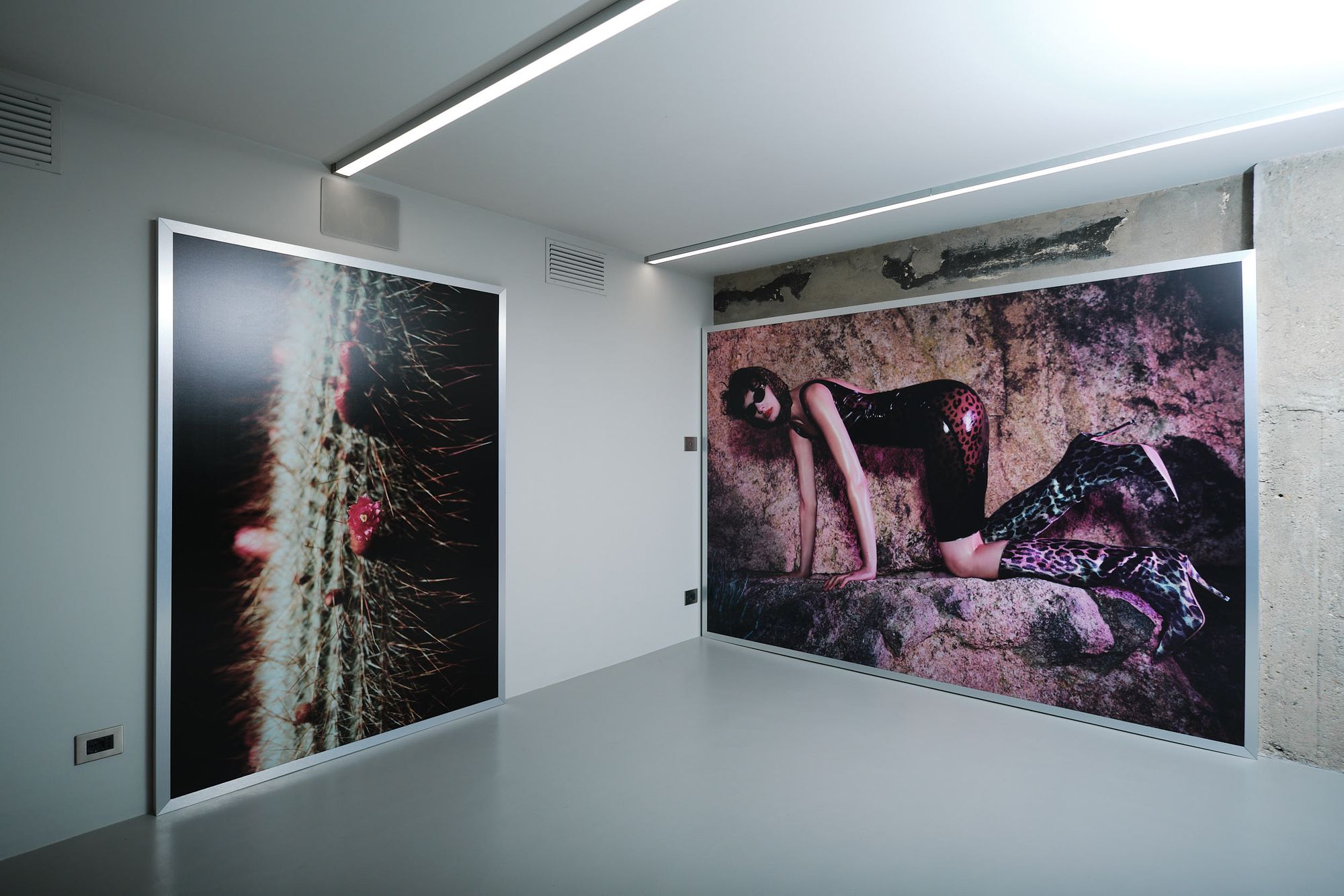 BRAND STRATEGY – EVENT DIRECTION – CAMPAIGN EXHIBITION