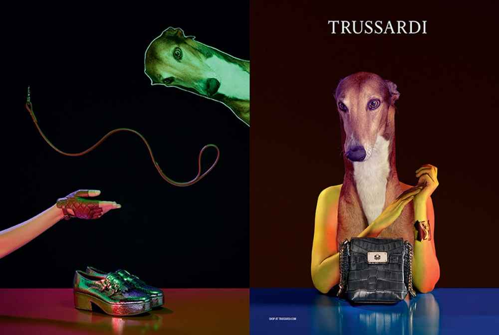 TRUSSARDI CREATIVE DIRECTION - ADVERTISING CAMPAIGN FW14 BY ROE ETHRIDGE