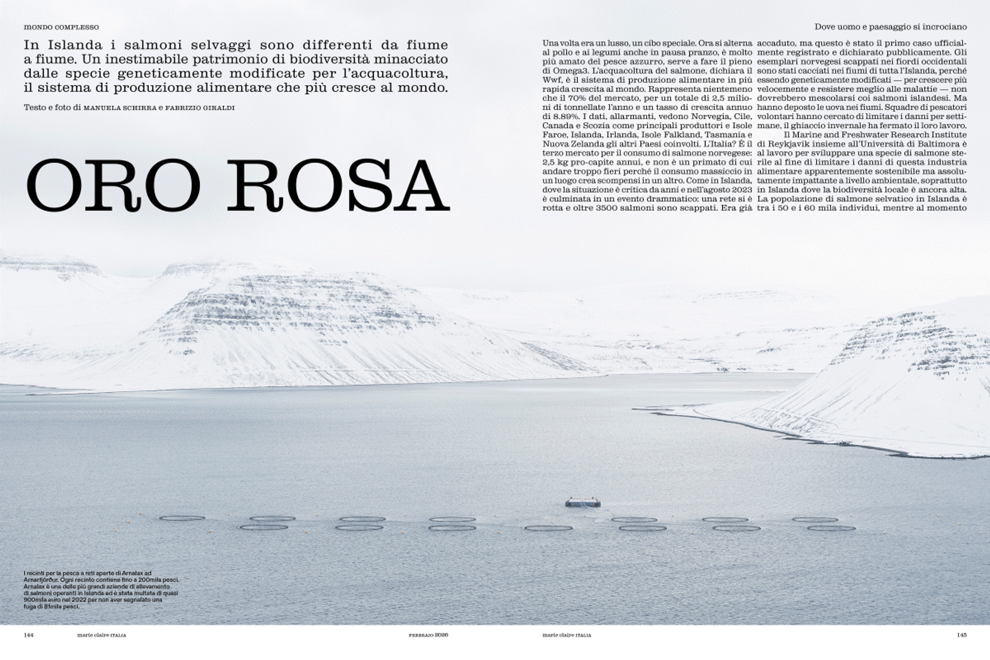 BRAND DESIGN - ISSUE 02 MONDO COMPLESSO