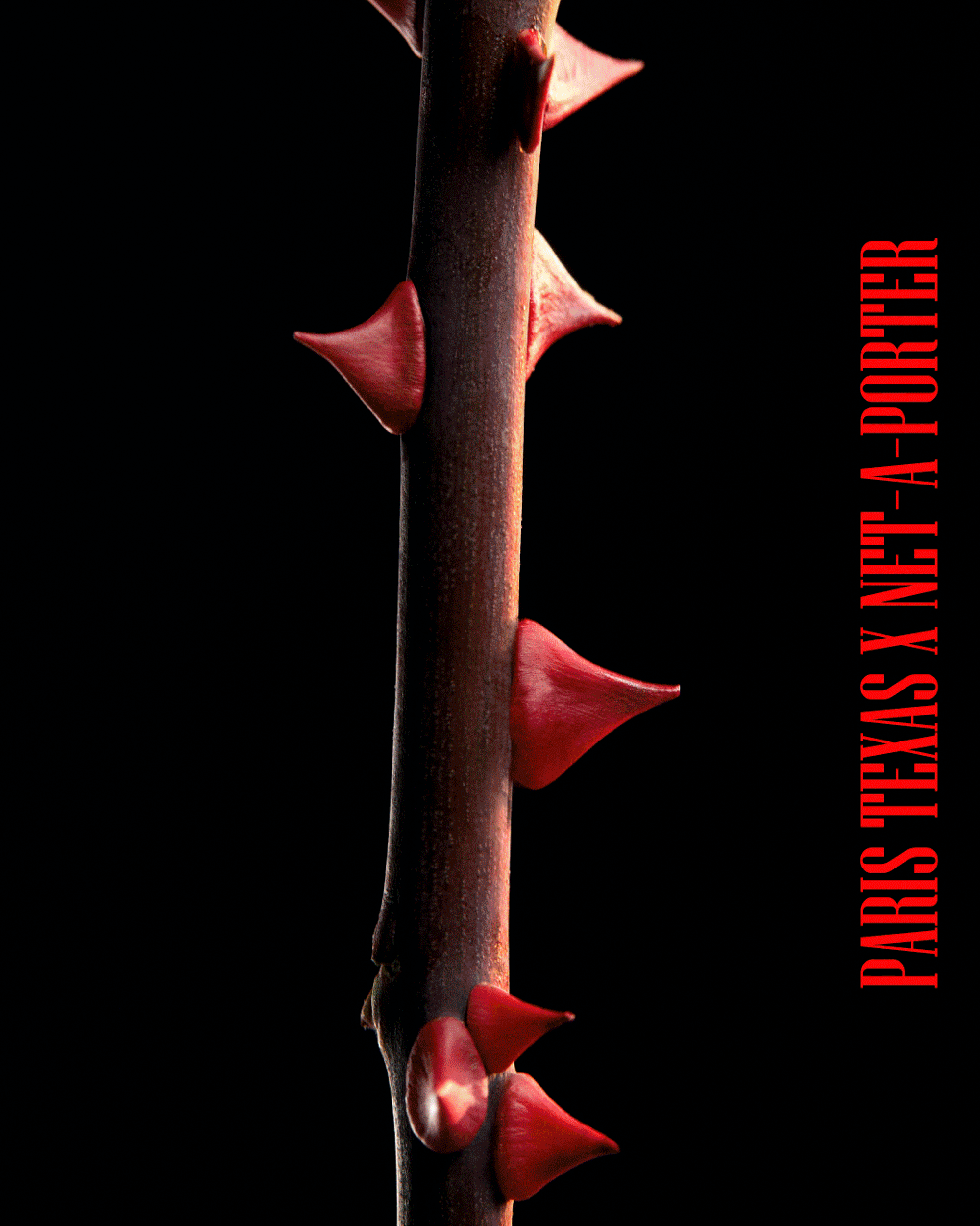 CREATIVE DIRECTION – PARIS TEXAS X Net-A-Porter