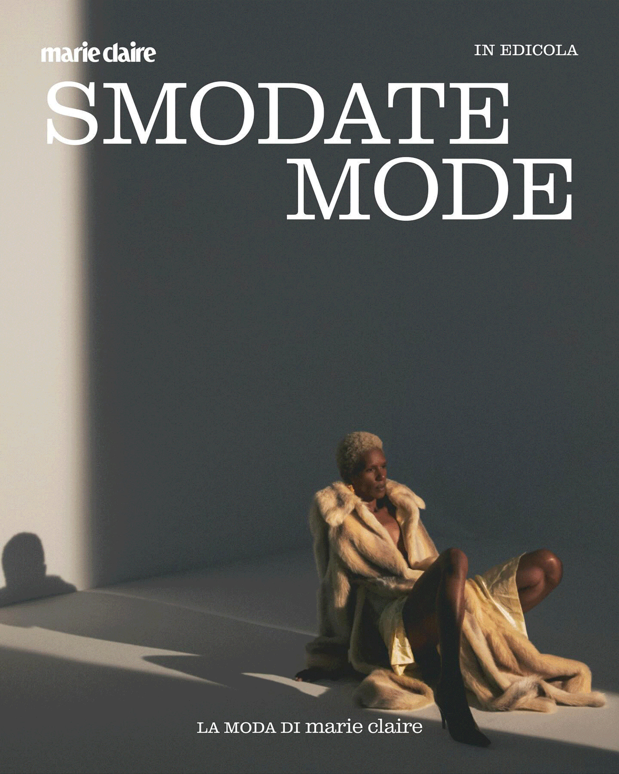 BRAND DESIGN - DIGITAL IDENTITY