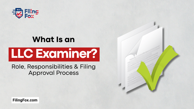 What Is an LLC Examiner? Role, Responsibilities & Filing Approval Process