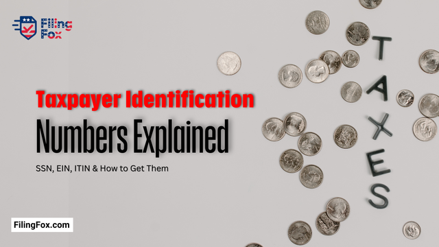 Taxpayer Identification Numbers Explained: SSN, EIN, ITIN & How to Get Them