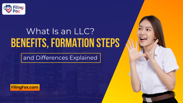 What Is an LLC? Benefits, Formation Steps, and Differences Explained