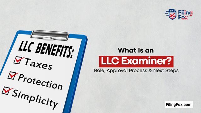 What Is an LLC Examiner? Role, Approval Process & Next Steps