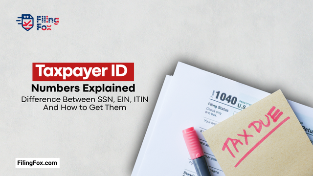 Taxpayer ID Numbers Explained: Difference Between SSN, EIN, ITIN & How to Get Them