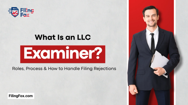 What Is an LLC Examiner? Roles, Process & How to Handle Filing Rejections