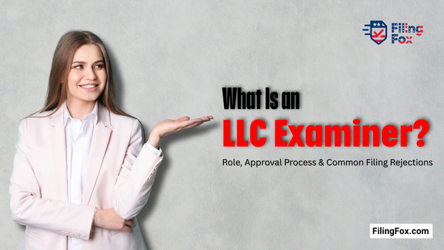 What Is an LLC Examiner? Role, Approval Process & Common Filing Rejections