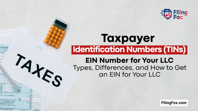 Taxpayer Identification Numbers (TINs): Types, Differences, and How to Get an EIN for Your LLC