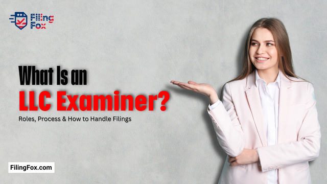 What Is an LLC Examiner? Roles, Process & How to Handle Filings