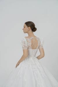 Back