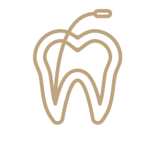 root canals & extractions