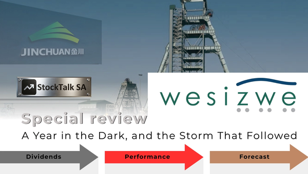 Wesizwe Platinum (WEZ): financial review