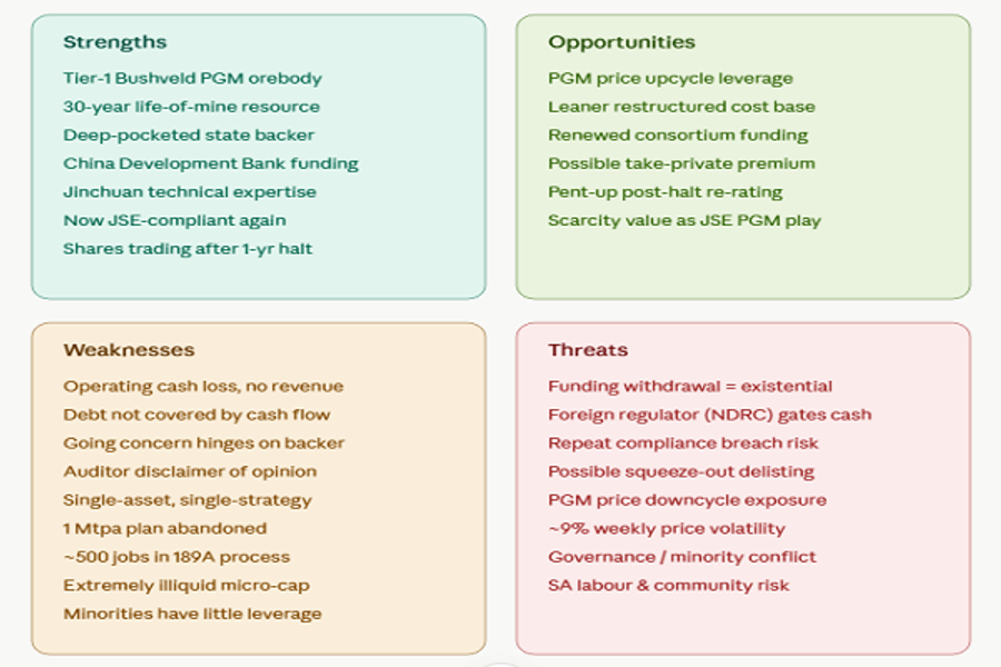 SWOT-picture of investments in Wesizwe Platinum, June 2026