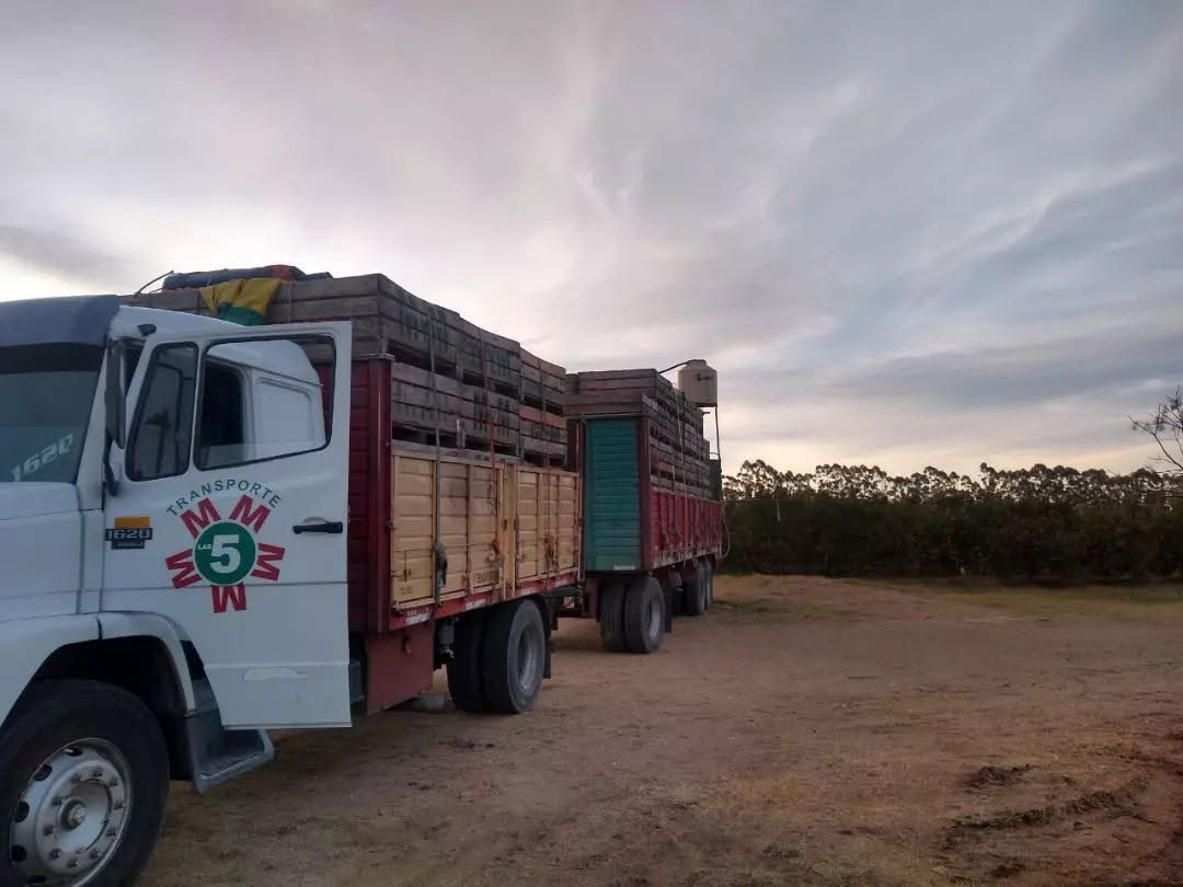 Fletes en la ciudad