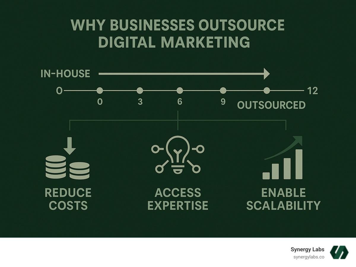 Make the text and elements darker and readable - why businesses outsource digital marketing infographic 