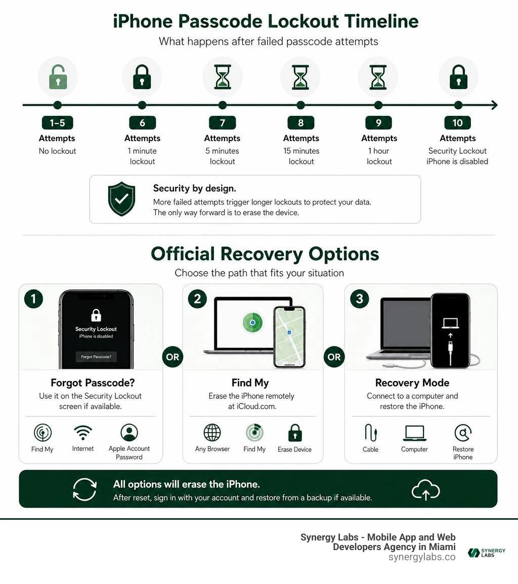 iPhone passcode lockout timeline and official recovery options infographic iPhone passcode lockout timeline and official recovery options infographic