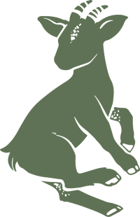 Feature Icon