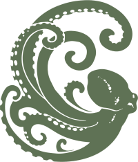 Feature Icon