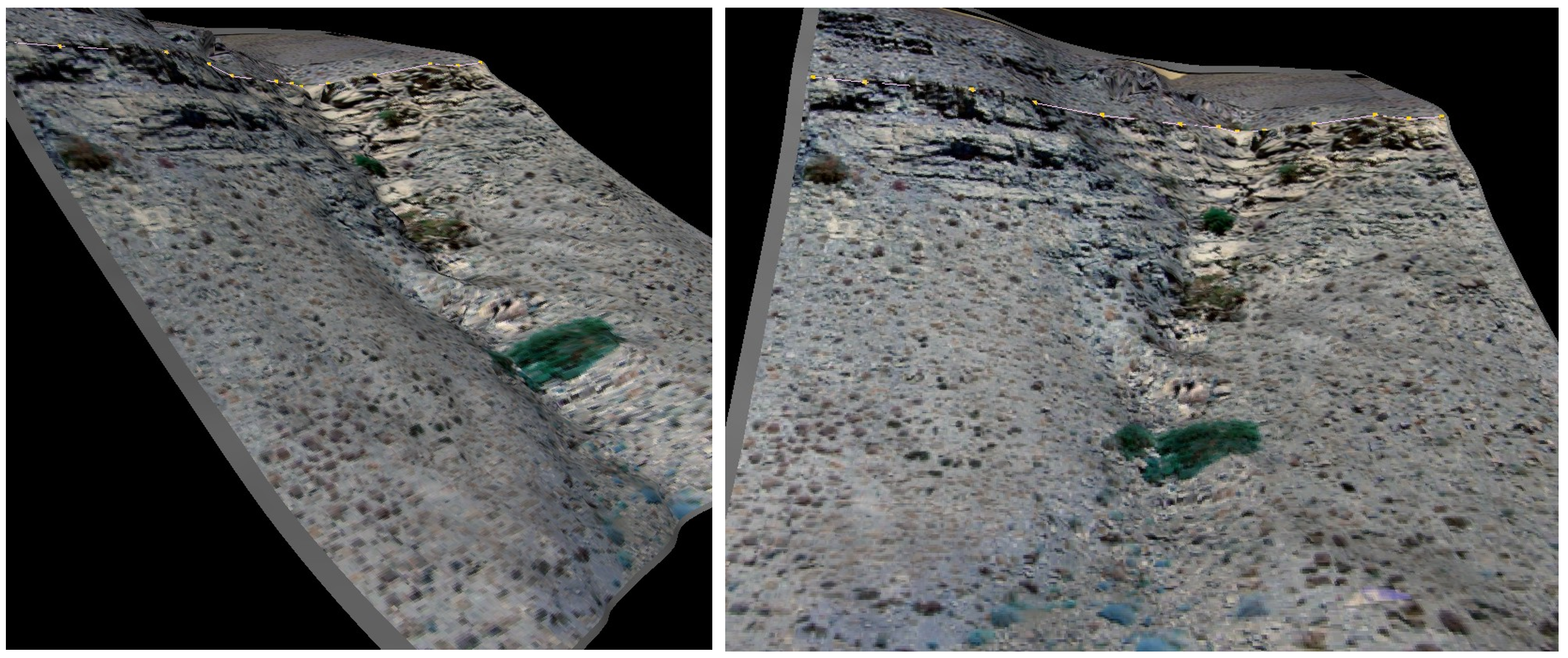 Figure 2: The original results from 2001, processed using state of the art techniques at the time.