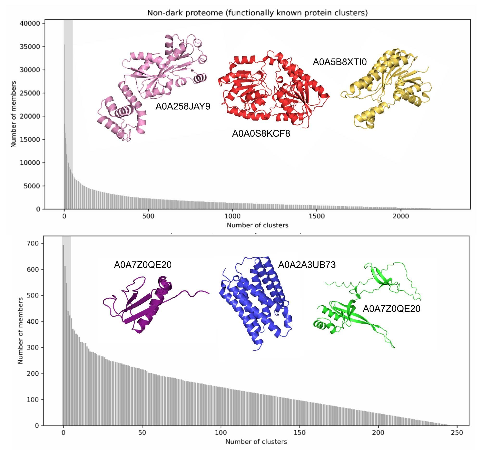 Non-dark proteome (functionally known as clusters)