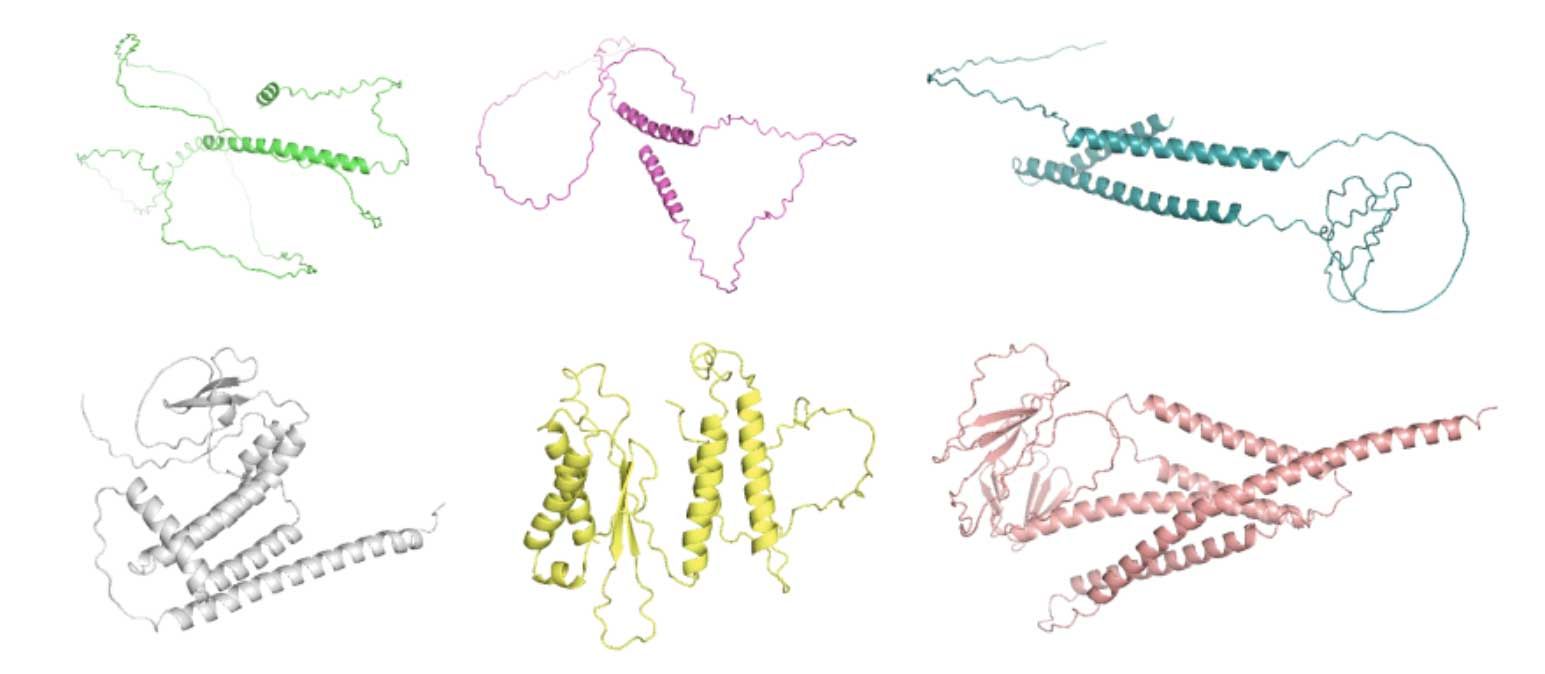 Two rows of generated protein structure examples. The top row shows protein sequences with parameters T=1.0, P=1.0, and N-gram-penalty=3, displaying tighter structures with possible loop formations. The bottom row shows sequences without N-gram constraints, resulting in more elongated shapes with reduced long loop disorder regions.