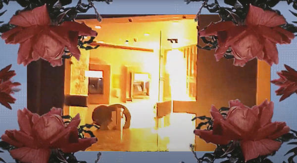 Michelle & Noel Keserwany "Political Romance"