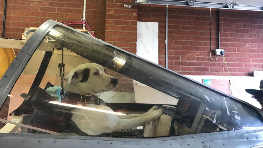 The Chemical Brothers “We’ve Got to Try”