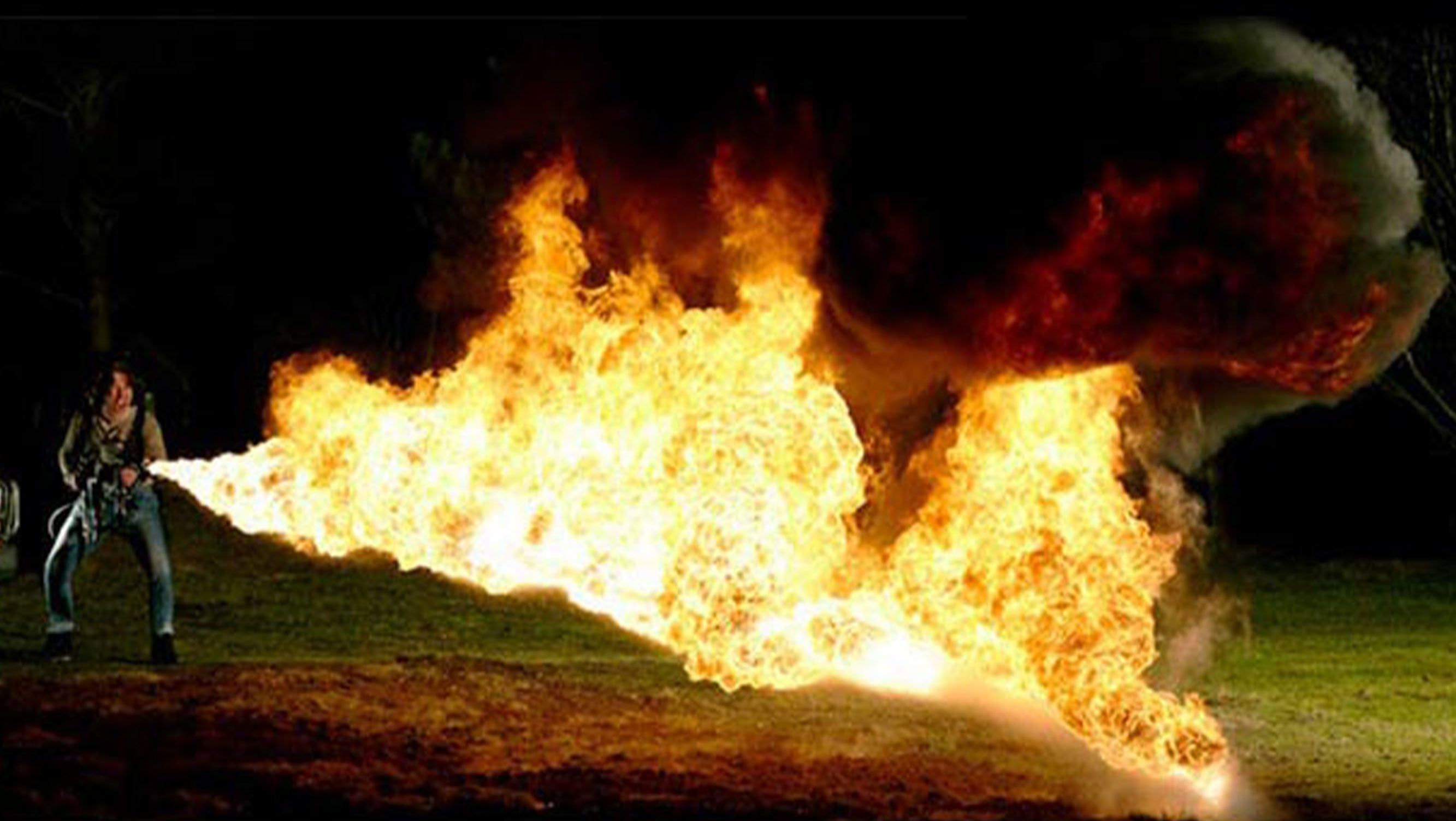 Dancing Pigeons “Ritalin”