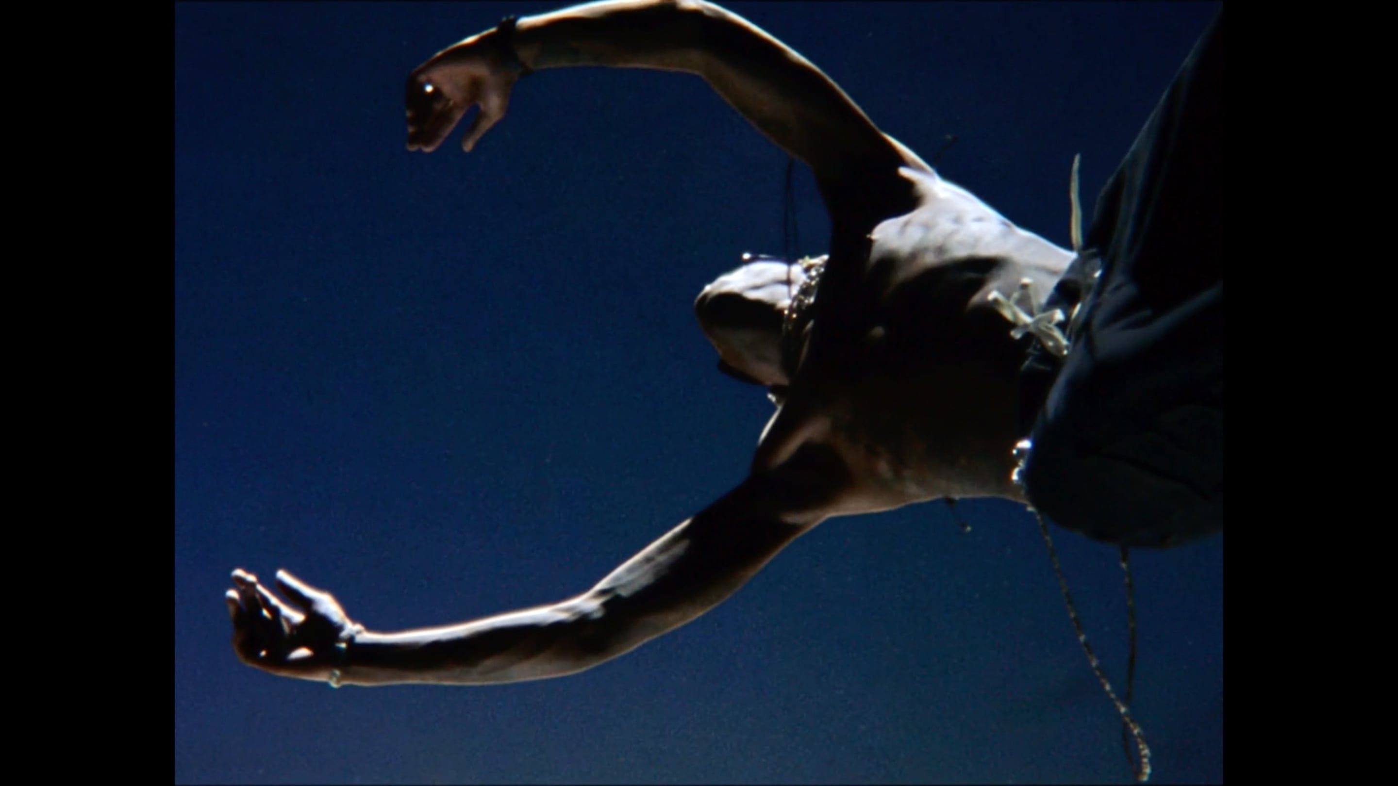 Travis Scott "Drugs You Should Try It"