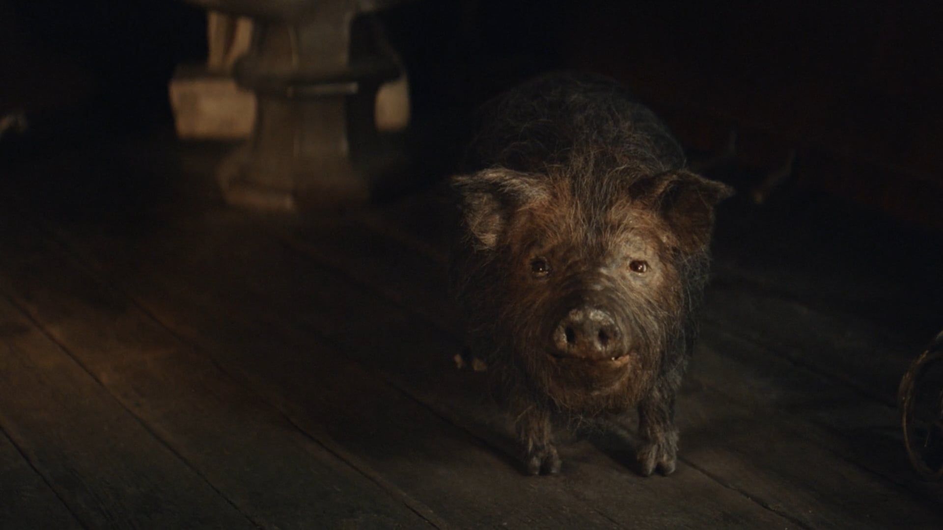 Confused 'Colosseum' 