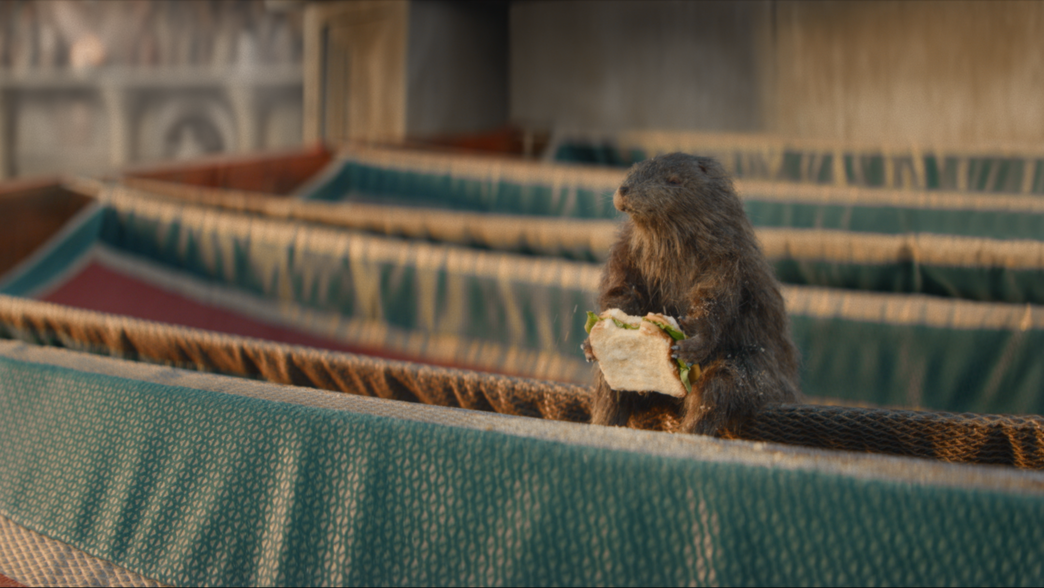 Confused 'Colosseum' 