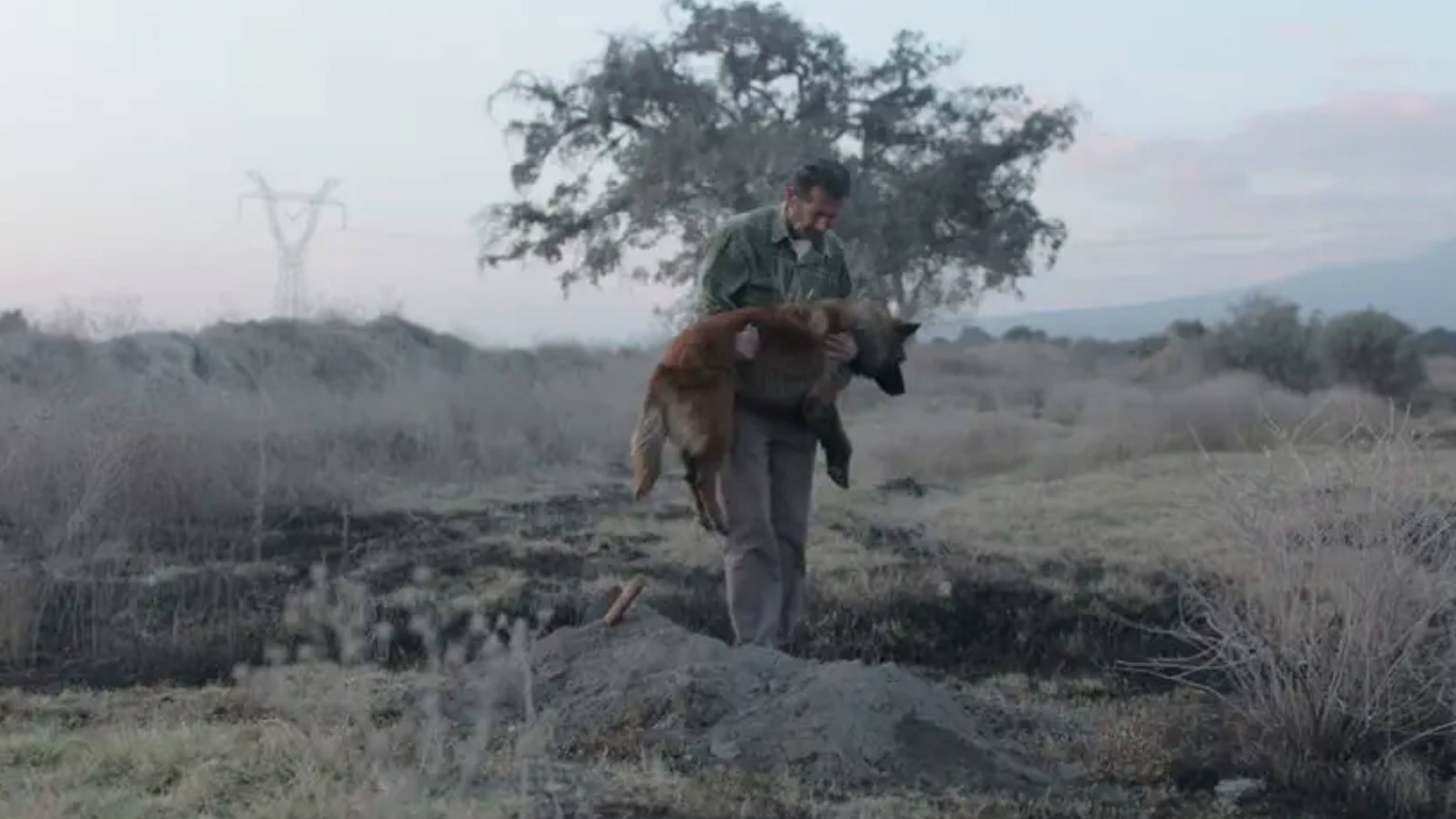 Feist “The Bad in Each Other”