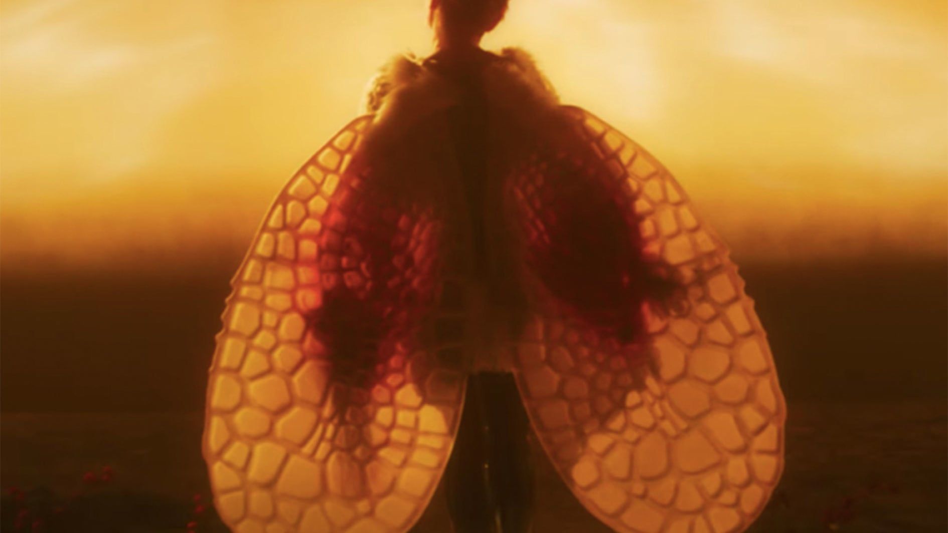 Björk “Arisen My Senses”