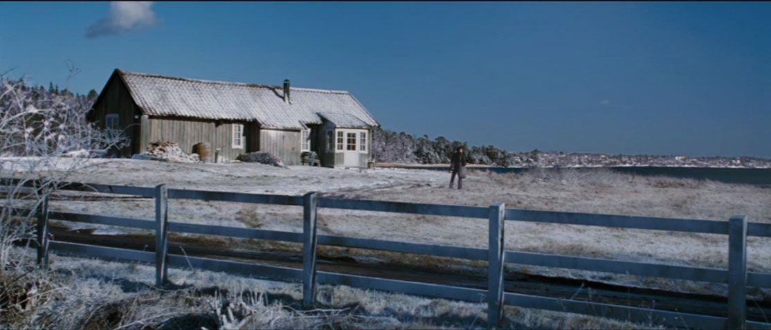 The Girl with the Dragon Tattoo