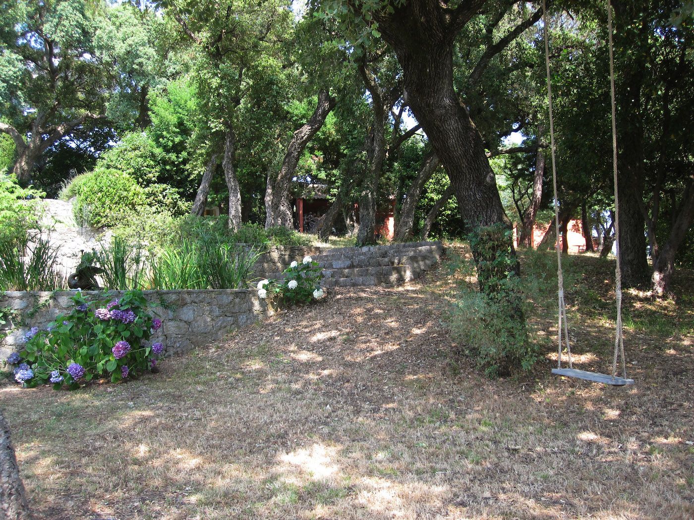 Magic in the Moonlight